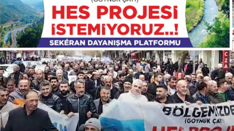 HES YAPILMAMASI İÇİN İLDE GENİŞ ÇAPLI YÜRÜYÜŞ DÜZENLENDİ